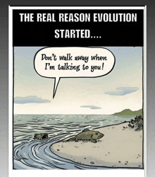 a cartoon of a fish on a beach with the words " the real reason evolution started " at the top