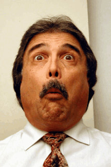 a man with a mustache and a tie makes a funny face