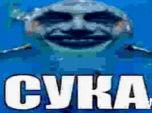 a picture of a shrek face on a blue background with the words cuka .