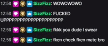 a screenshot of a chat between sizzfizz and wowowowo