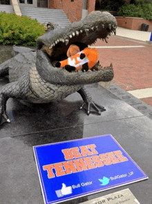 a statue of an alligator with a stuffed animal in its mouth and a sign that says " beat tennessee "