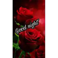 a good night card with red roses and the words `` good night '' .