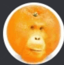 an orange with a monkey face on it is in a circle .