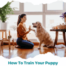 a woman giving a dog a high five with the words how to train your puppy