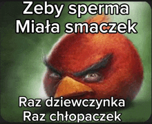 a picture of an angry bird with a caption that says zeby sperma miata smaczek