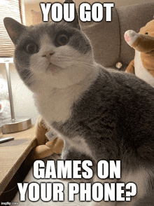 a gray and white cat sitting on a table with the caption " you got games on your phone ? "