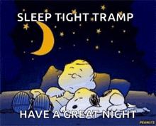 snoopy and charlie brown are sleeping on a couch under a full moon .