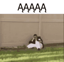 a man is sitting on the ground in front of a fence with the words aaaa written above him .