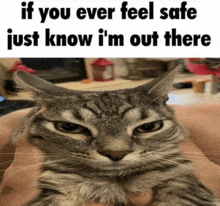 a cat is being held in someone 's hands and the caption says if you ever feel safe just know i 'm out there