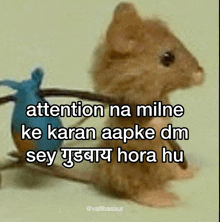 a picture of a mouse with a caption that says attention na milne ke karan aapke dm sey gudbayay hora hu