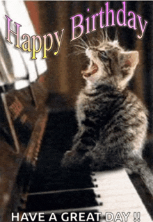 a kitten is sitting on a piano with the words happy birthday have a great day written below it