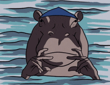 a hippo wearing a blue hat is sitting in the water