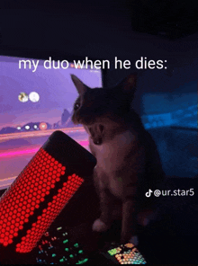 a cat is sitting in front of a computer monitor with a caption that says my duo when he dies