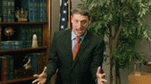 a man in a suit and tie is standing in front of a bookshelf and a tree .