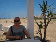 a woman wearing sunglasses sits at a table with a palm tree in the foreground