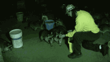 a man feeds a raccoon from a yellow bucket with a label that says ' i love you ' on it