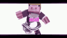 a video of a minecraft character with the name niall written on it