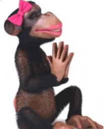 a chimpanzee with a pink bow on its head is sitting down .