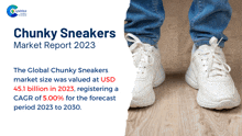 a poster for chunky sneakers market report 2023