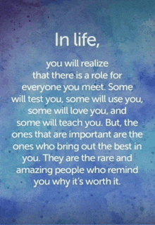 in life you will realize that there is a role for everyone you meet some will test you some will use you some will love you and some will teach you.