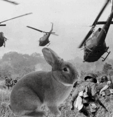 a black and white photo of soldiers and a rabbit