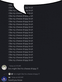 a screenshot of a conversation between two people with one saying " bro might like his cheese drippy "