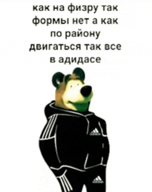 a bear is wearing a black adidas jacket