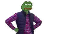 a cartoon frog wearing a plaid shirt and vest stands with his hands on his hips