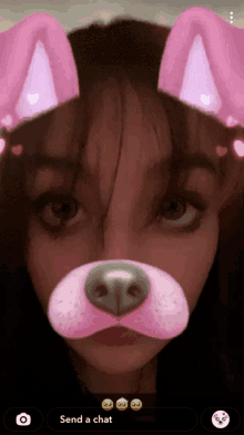 a girl wearing a dog mask with the words send a chat on the bottom