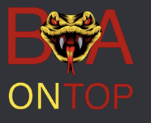 a picture of a snake with the words boa on top underneath it