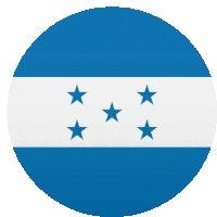 a blue and white flag with four blue stars on it