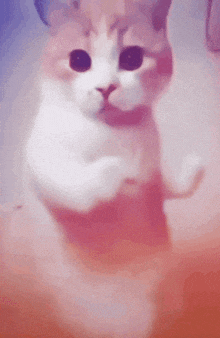 a white cat with purple eyes is standing on its hind legs .