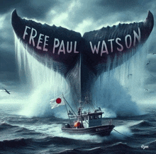 a boat in the ocean with the words free paul watson written on the back