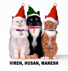 three cats wearing santa hats with the name viren , hasan , manesh above them