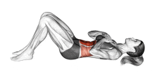 a drawing of a woman doing a crunch on the floor with muscles highlighted .