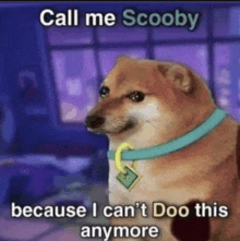 Scooby Doo Shiba Inu Meme