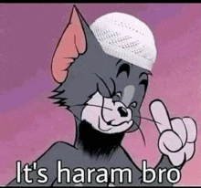 a cartoon cat wearing a white hat and saying `` it 's harem bro '' .