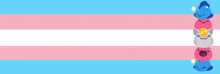 a transgender flag with a stack of animals on top of it