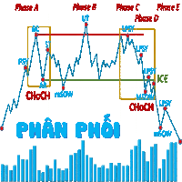 phase a phase b phase c phase d and phase e