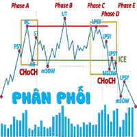 phase a phase b phase c phase d and phase e