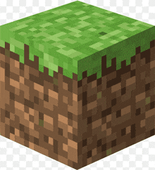 a minecraft block with a piece of grass on top