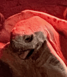 a close up of a statue of a man with a red background