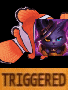 a picture of a clown fish and a picture of a cat with the word triggered on the bottom