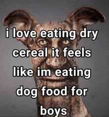 a picture of a dog with the words " i love eating dry cereal it feels like im eating dog food for boys " on it