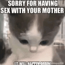 a cat is sitting on a table with a meme that says `` sorry for having sex with your mother '' .