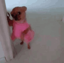 a small dog wearing a pink dress is standing next to a door and holding onto it .