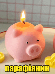 a pink piggy bank with a candle inside of it and the word parafiianin on the bottom