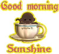 a monkey in a cup with the words good morning sunshine below it