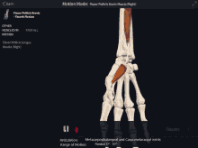 a screen shows a skeleton and muscles and says motion mode