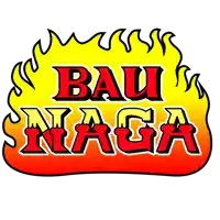 a logo for a company called bau naga with flames around it